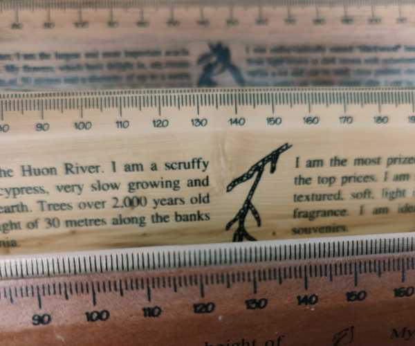 Bass and Flinders merchandise timber ruler